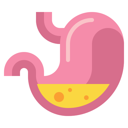 Estómago